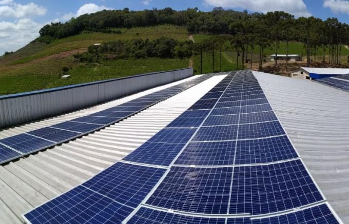 #MComDáVoz: Empresa de energia solar registra crescimento de 60% em 12 meses  